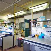 LabCliMed01